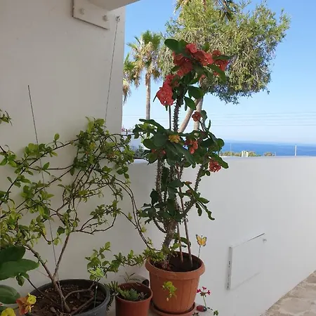 아파트 Ikaria Village Maisonette 12 파포스